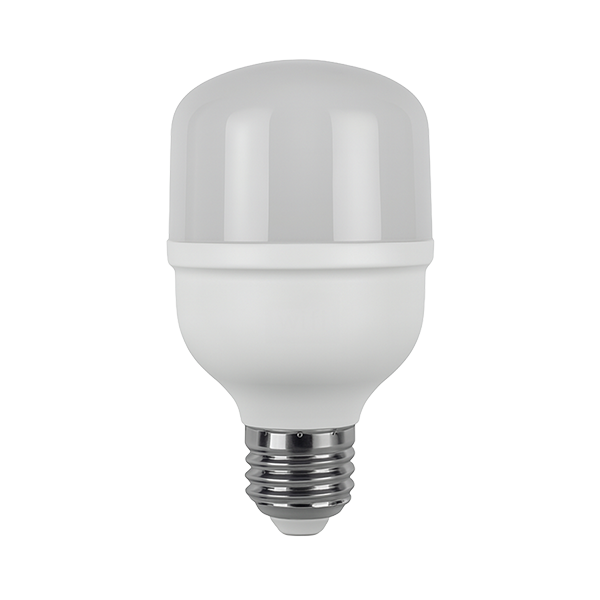Lâmpada Bulbo LED 30W 220° E27 Bivolt 6500K (AR 2185)